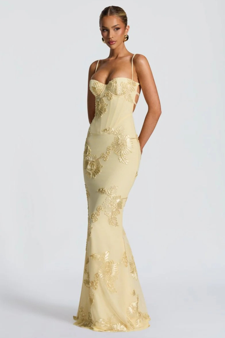 Women's Floral Embroidered Corset Maxi Dress – Siopie