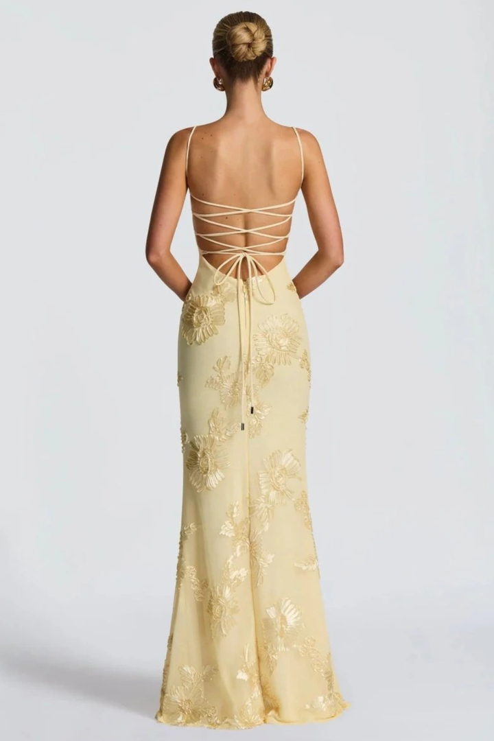 Women's Floral Embroidered Corset Maxi Dress – Siopie